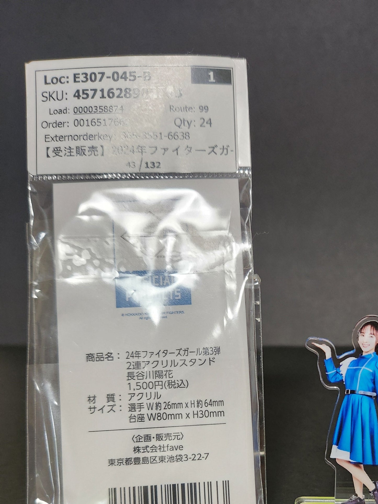 FIGHTERSGIRL 2024 長谷川陽花 2連アクスタ