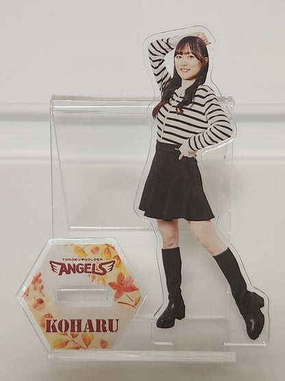東北ゴールデンエンジェルス 2025 KOHARU 秋冬私服