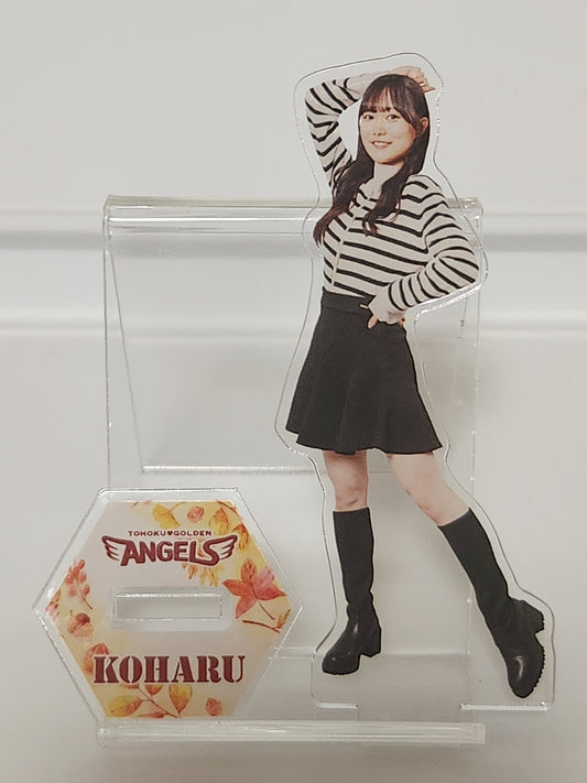 東北ゴールデンエンジェルス 2025 KOHARU 秋冬私服
